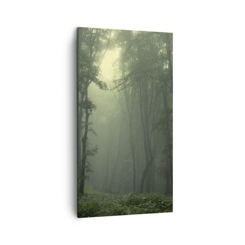 Bild auf Leinwand - Leinwandbild - Bevor er aufwacht - 45x80 cm