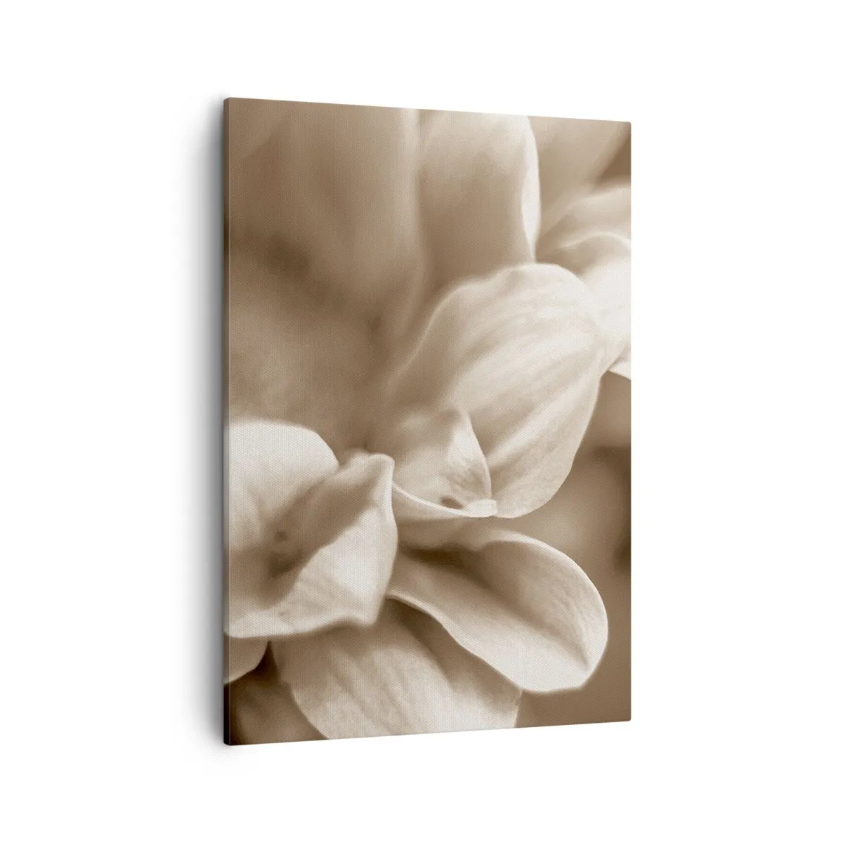 Bild auf Leinwand - Leinwandbild - Nahaufnahme von Blüten in zartem Sepia-Ton mit weichen Konturen - 50x70cm - So sanft wie ein Lächeln - Moderne Wanddekoration für Wohnzimmer und Schlafzimmer ARTTOR