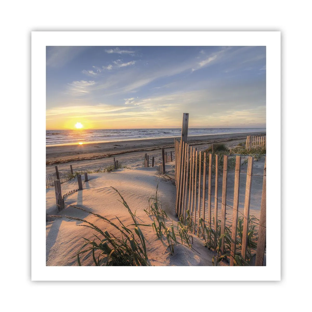 Poster - Schein und Schatten des Windes - 60x60 cm