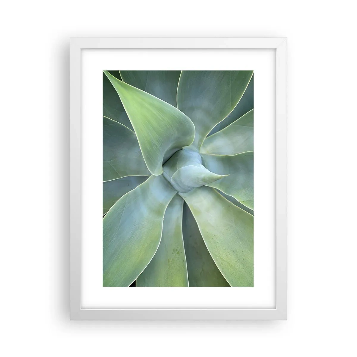 Poster in einem weißen Rahmen - Geburt des Grüns - 30x40 cm