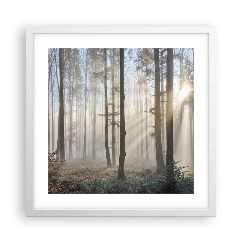 Poster in einem weißen Rahmen - Der Nebel ist auch aufgewacht - 40x40 cm