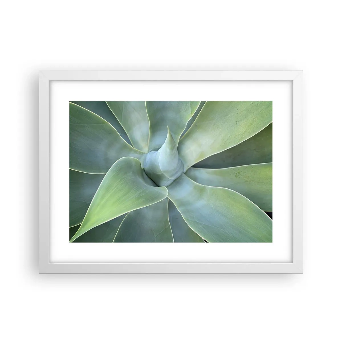 Poster in einem weißen Rahmen - Geburt des Grüns - 40x30 cm