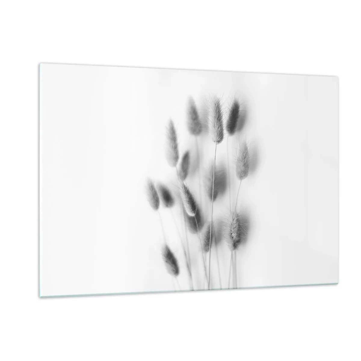 Glasbild - Bild auf glas - Schwarz-weiße Grasähren auf hellem Hintergrund im minimalistischen Stil - 120x80cm - Eure flauschige Grashoheit - Moderne Wanddekoration für Wohnzimmer und Schlafzimmer ARTTOR