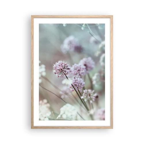Poster in einem Rahmen aus heller Eiche - Süße filigrane Kräuter - 50x70 cm