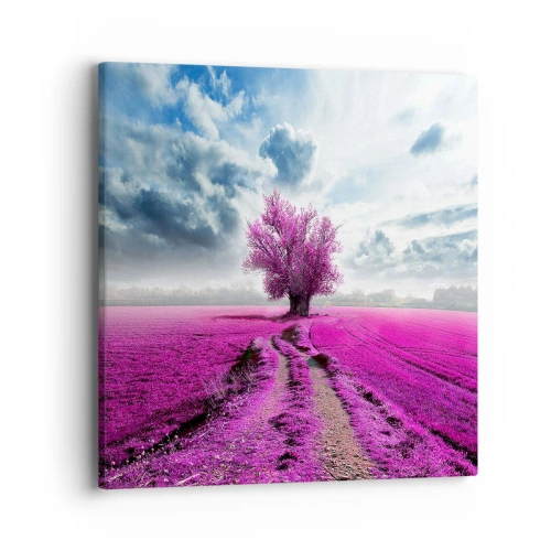 Bild auf Leinwand - Leinwandbild - Heide - Wildnis - 40x40 cm