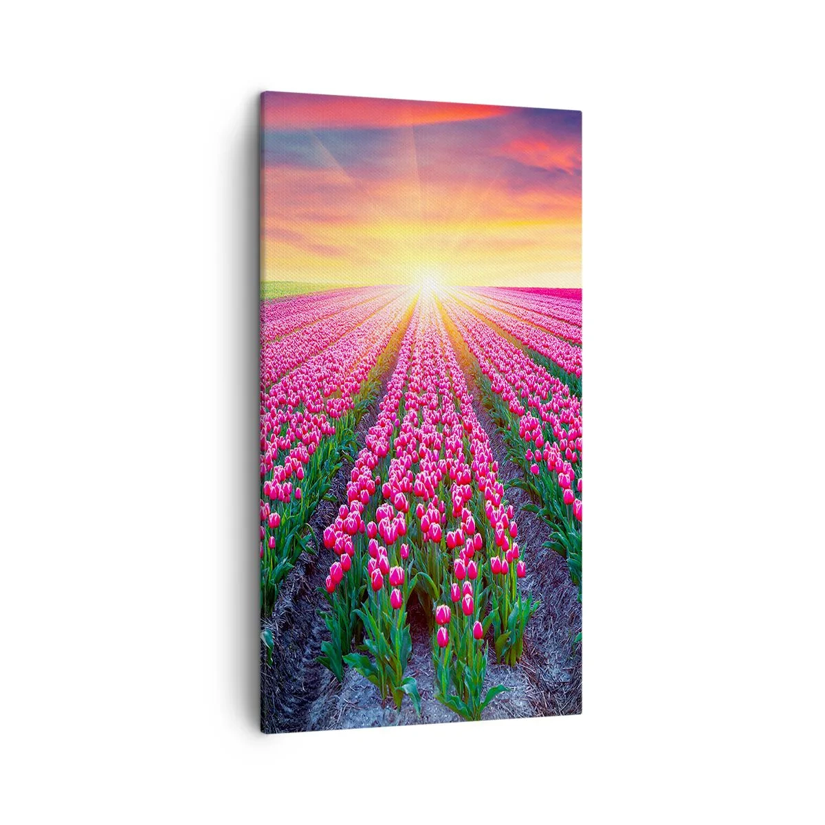 Bild auf Leinwand - Leinwandbild - Schönheitsfarm - 45x80 cm