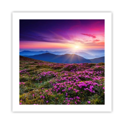 Poster - Kräuter dufteten nach frischen Trauben von den Feldern - 50x50 cm