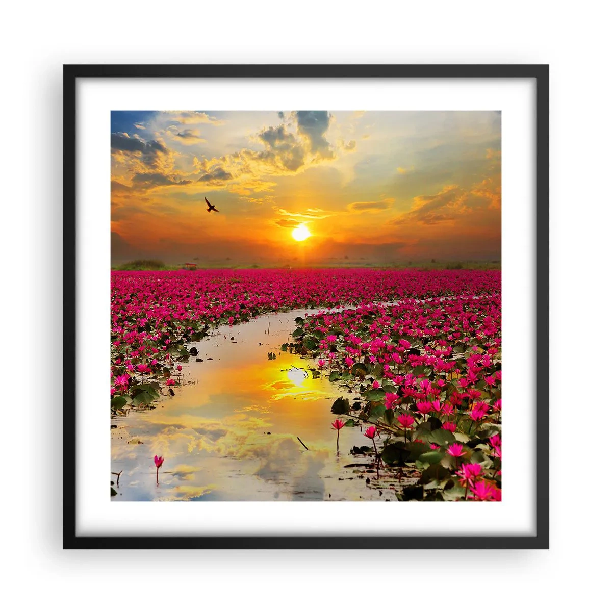 Poster in einem schwarzem Rahmen - Das geheime Leben des Sees - 50x50 cm