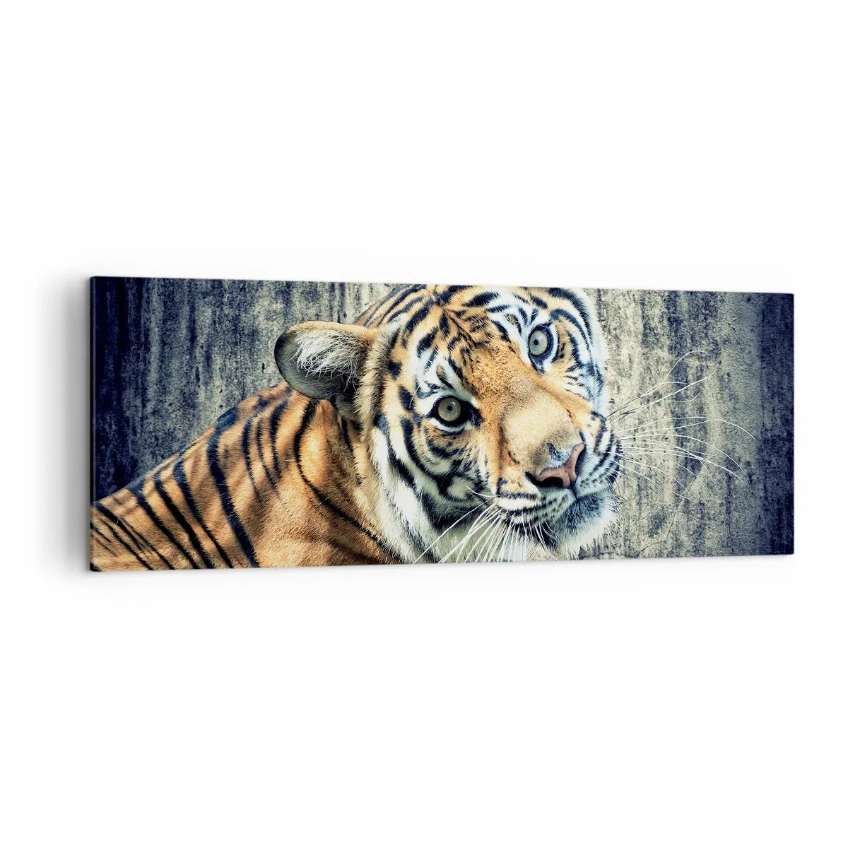 Bild auf Leinwand - Leinwandbild - Ein Tiger liegt an einer rauen Wand - 140x50cm - Portrait in Lichtstrahlen - Moderne Wanddekoration für Wohnzimmer und Schlafzimmer ARTTOR
