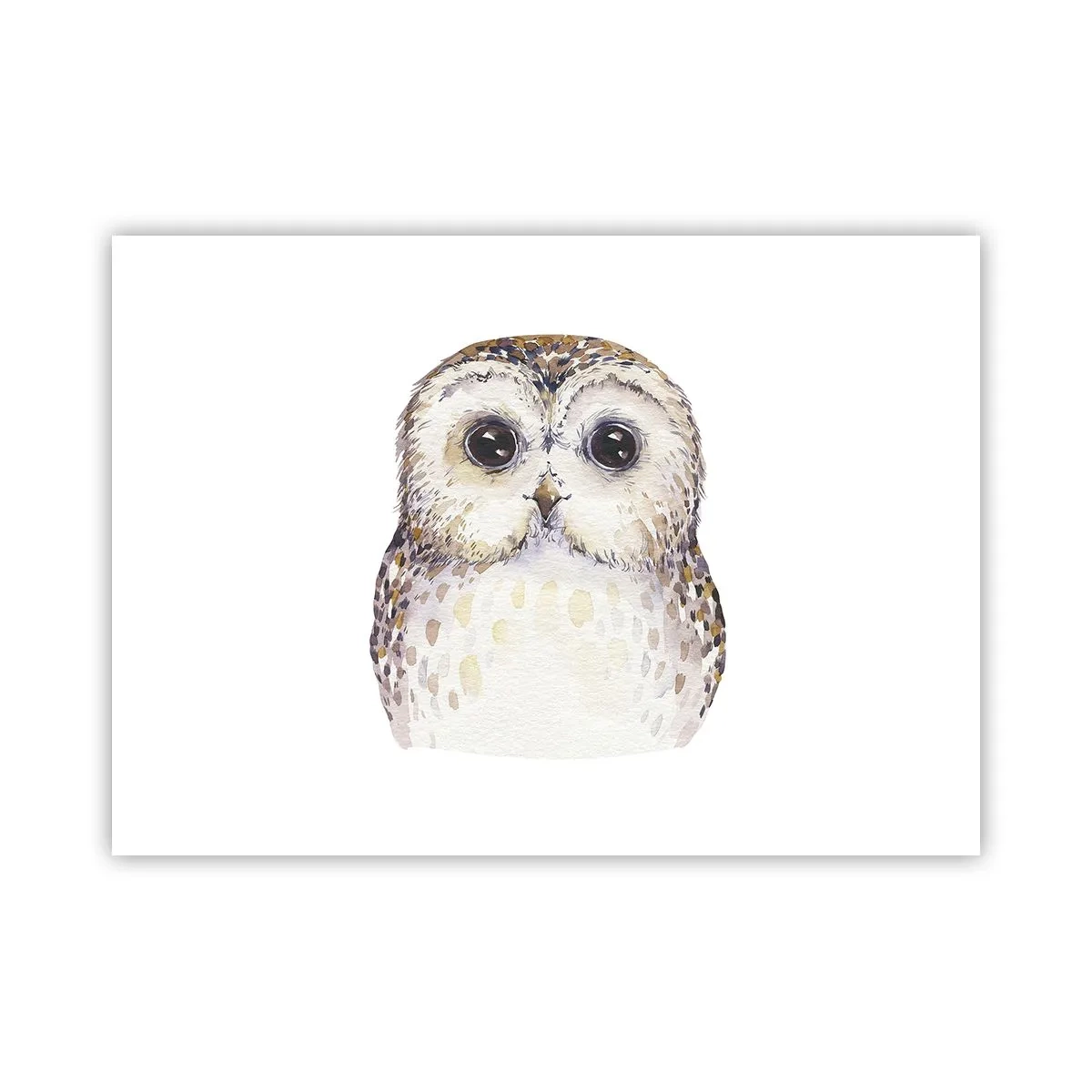 Poster - Schau mir in die Augen - 70x50 cm