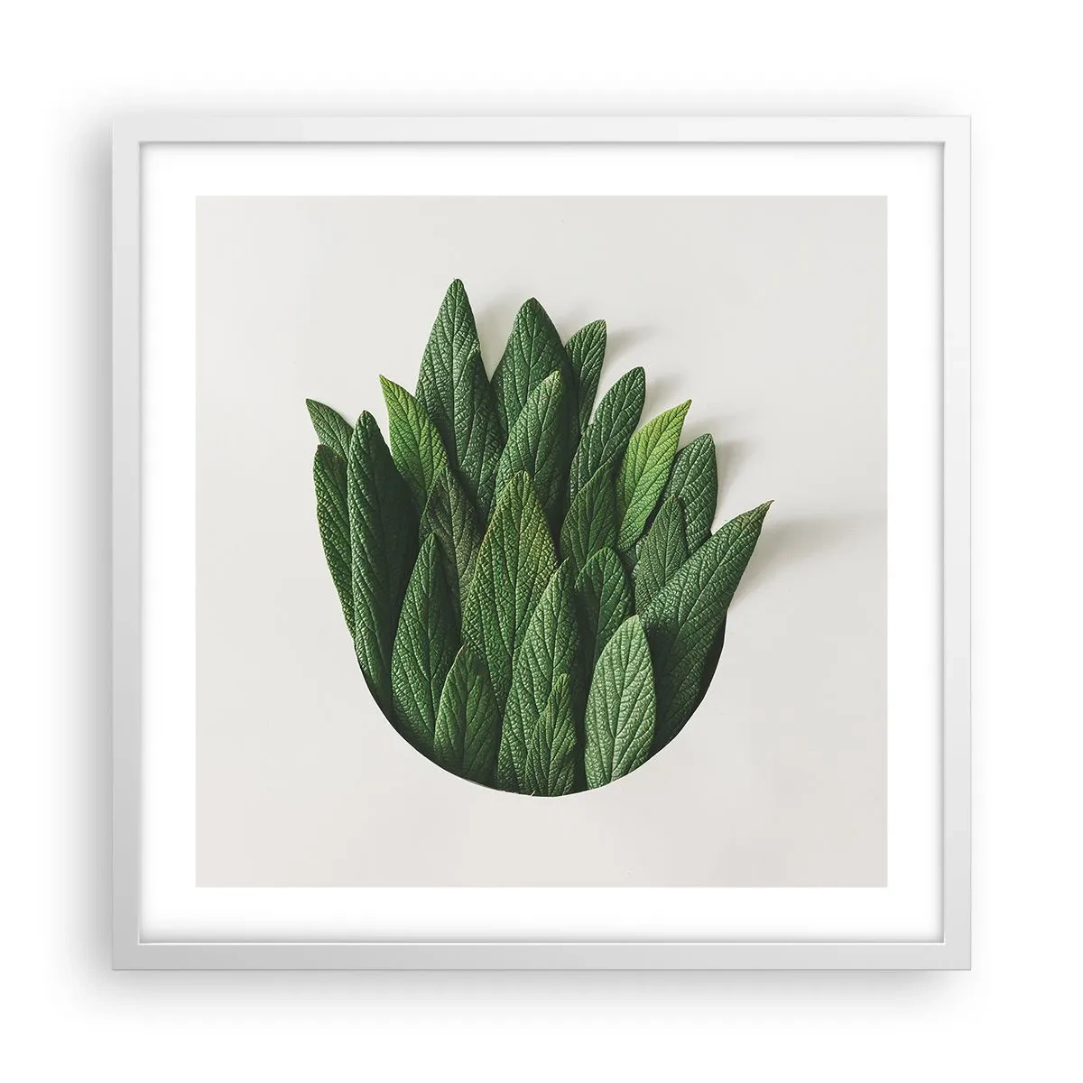 Poster in einem weißen Rahmen - Ungebremste Neugier - 50x50 cm