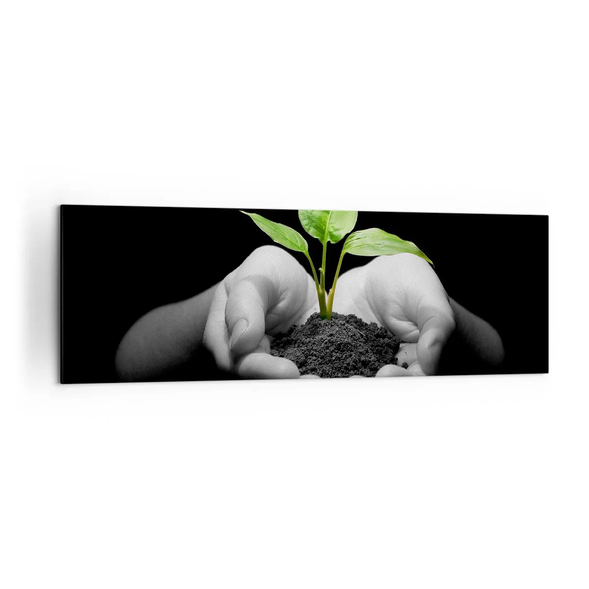 Bild auf Leinwand - Leinwandbild - Hände halten eine grüne Pflanze auf schwarzem Hintergrund - 160x50cm - Ich liebe die Natur, ich beschütze sie - Moderne Wanddekoration für Wohnzimmer und Schlafzimmer ARTTOR