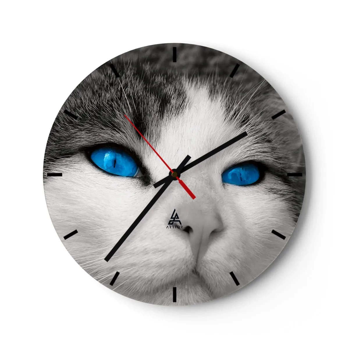 Wanduhr - Glasuhr - Nahaufnahme eines Katzengesichts mit intensiv blauen Augen - 30x30cm - Ungewöhnlich blauäugig - Moderne Wanddekoration für Wohnzimmer, Küche und Schlafzimmer ARTTOR