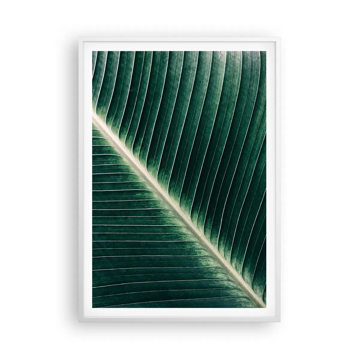 Poster in einem weißen Rahmen - Rhythmus der Natur - 70x100 cm