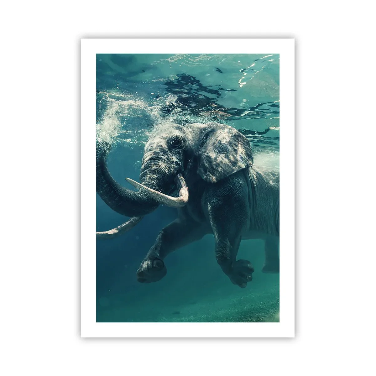 Poster - Ein Elefant schwimmt im türkisfarbenen Wasser - 50x70cm - Jeder schwimmt gerne - Moderne Wanddekoration für Wohnzimmer und Schlafzimmer ARTTOR