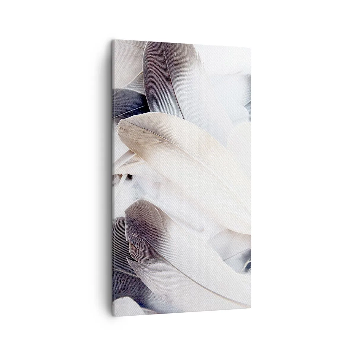 Bild auf Leinwand - Leinwandbild - Fast engelhaft - 45x80 cm