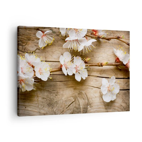 Bild auf Leinwand - Leinwandbild - Zweige blühender Kirschbäume auf einem Holzbretthintergrund - 70x50cm - Und es war Frühling - Moderne Wanddekoration für Wohnzimmer und Schlafzimmer ARTTOR