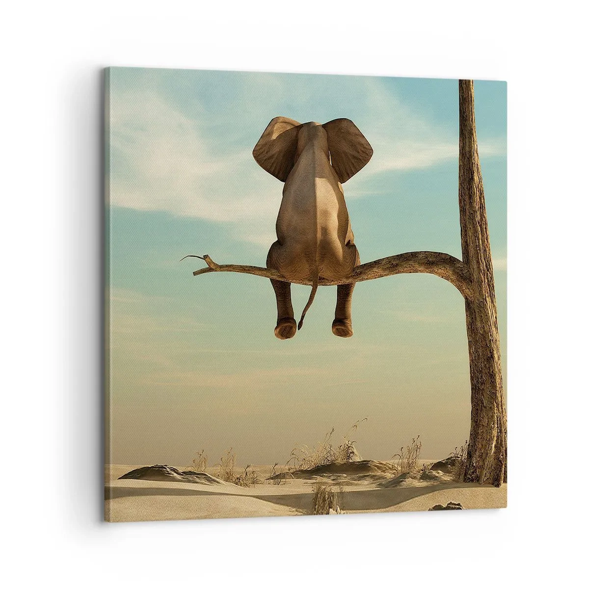 Bild auf Leinwand - Leinwandbild - Neuer Blickwinkel - 60x60 cm