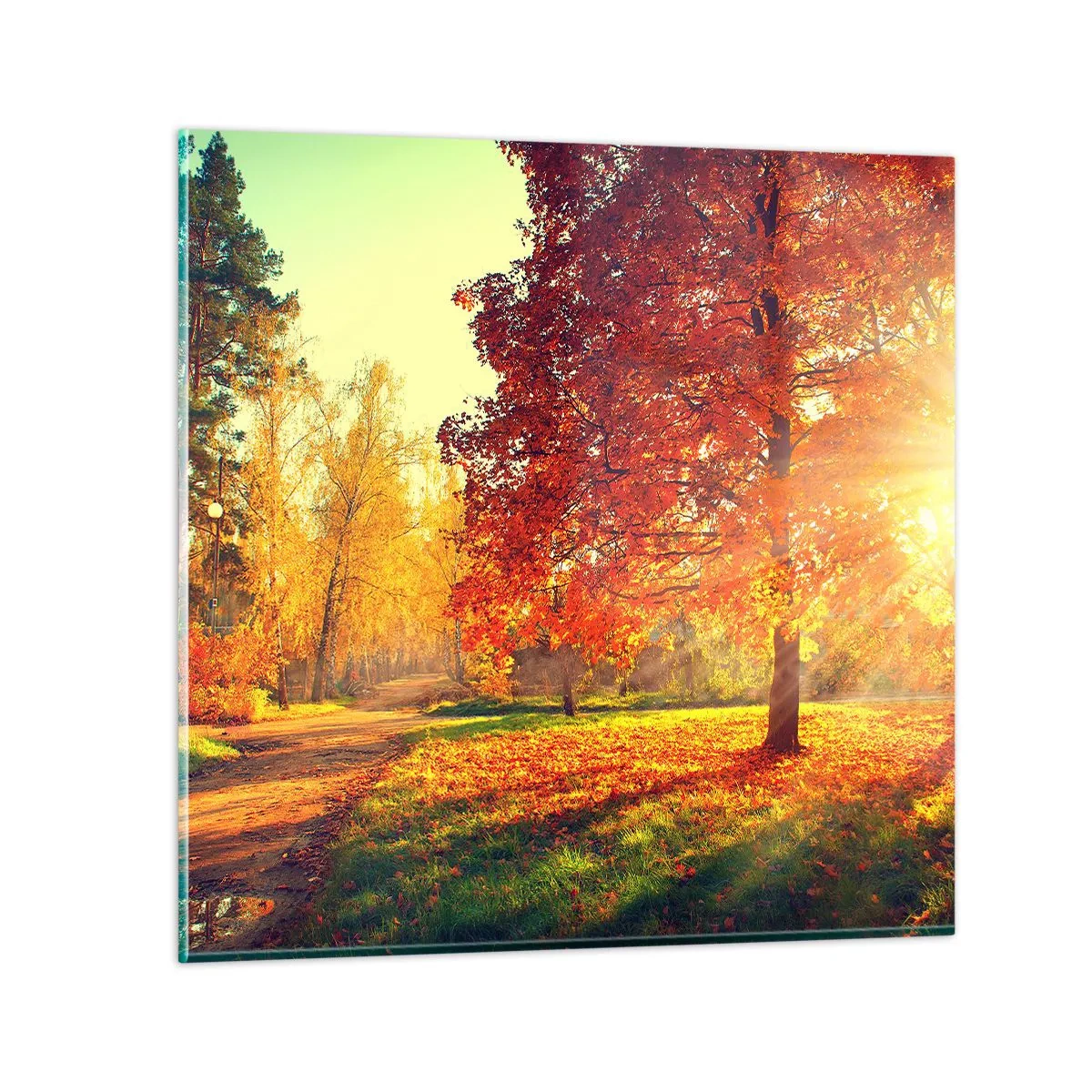 Glasbild - Bild auf glas - Unhöflich ist schön - 50x50 cm