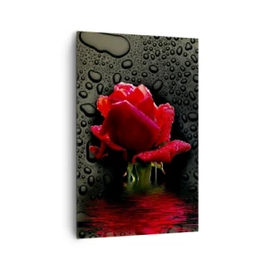 Bild auf Leinwand - Leinwandbild - Rote Rose mit Wassertropfen auf dunklem Hintergrund - 80x120cm - rot und Schwarz - Moderne Wanddekoration für Wohnzimmer und Schlafzimmer ARTTOR