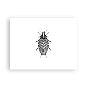 Poster - Was für ein Exemplar! - 40x30 cm