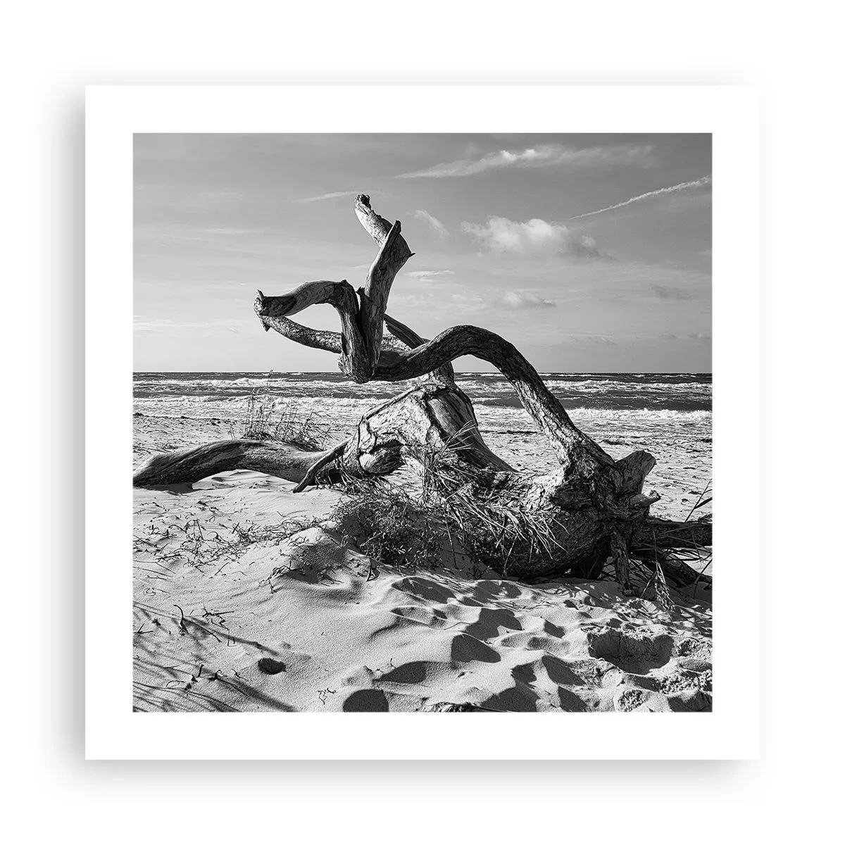 Poster - Meeresskulptur - 50x50 cm