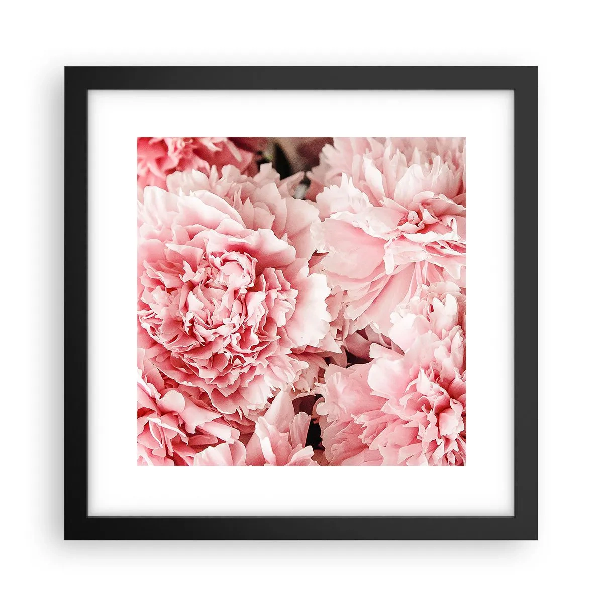 Poster in einem schwarzem Rahmen - Rosa Traum - 30x30 cm