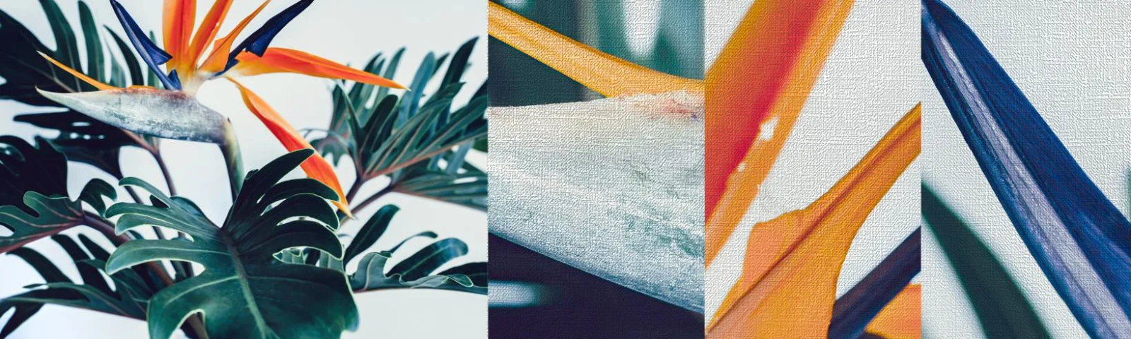 Fototapeten Muster Premium Canvas - Vogelbusch - Pflanzen, Boho, Exotisch - 100x30 cm