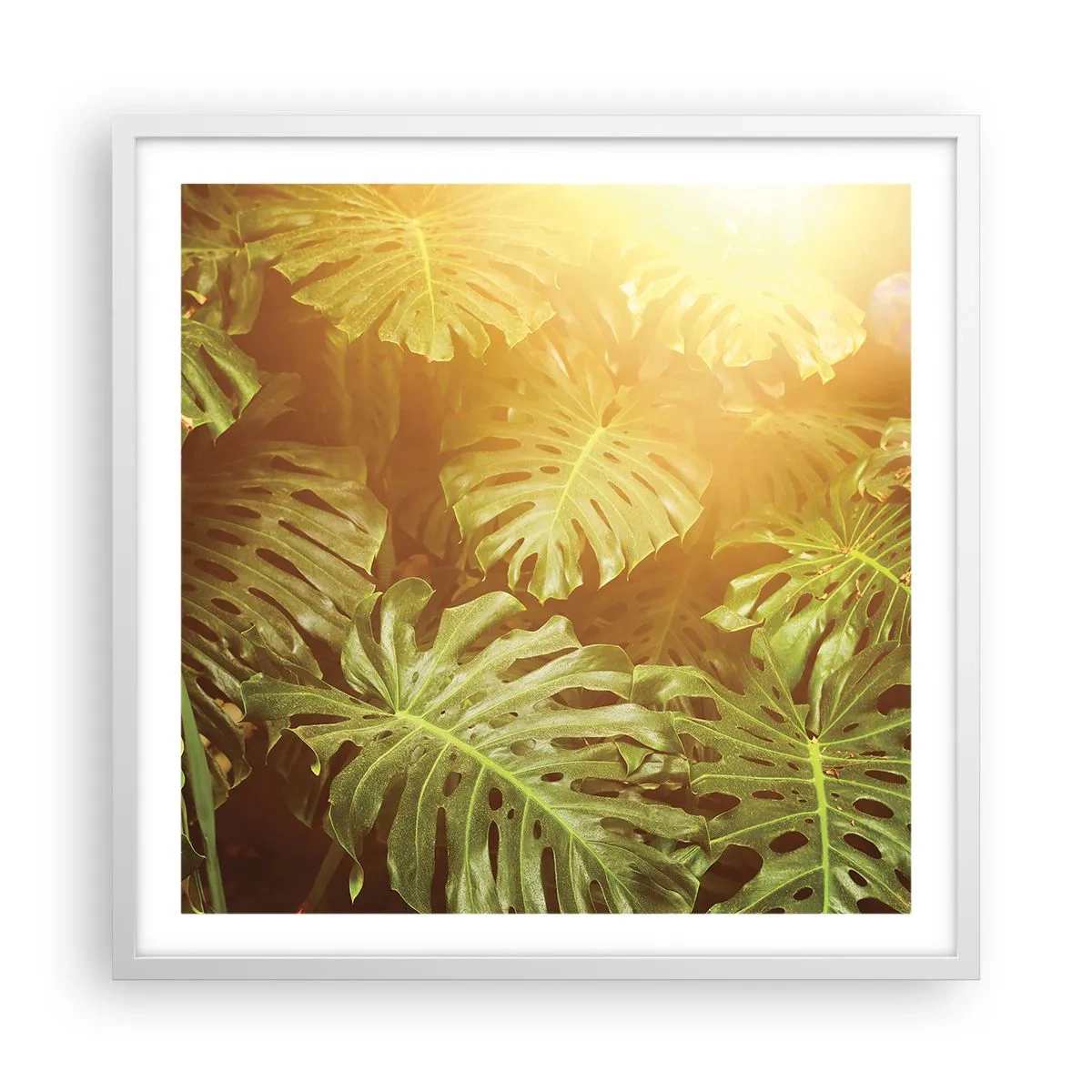 Poster in einem weißen Rahmen - Ins Grüne tretren... - 60x60 cm