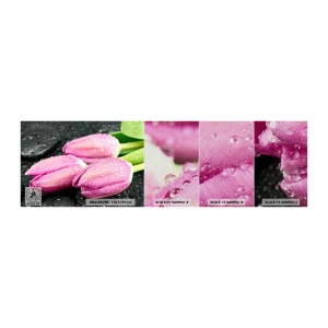 Fototapeten Muster Premium Sand - Liladrei auf schwarzem Stein - Blumen, Tulpen, Blumenstrauß - 100x30 cm