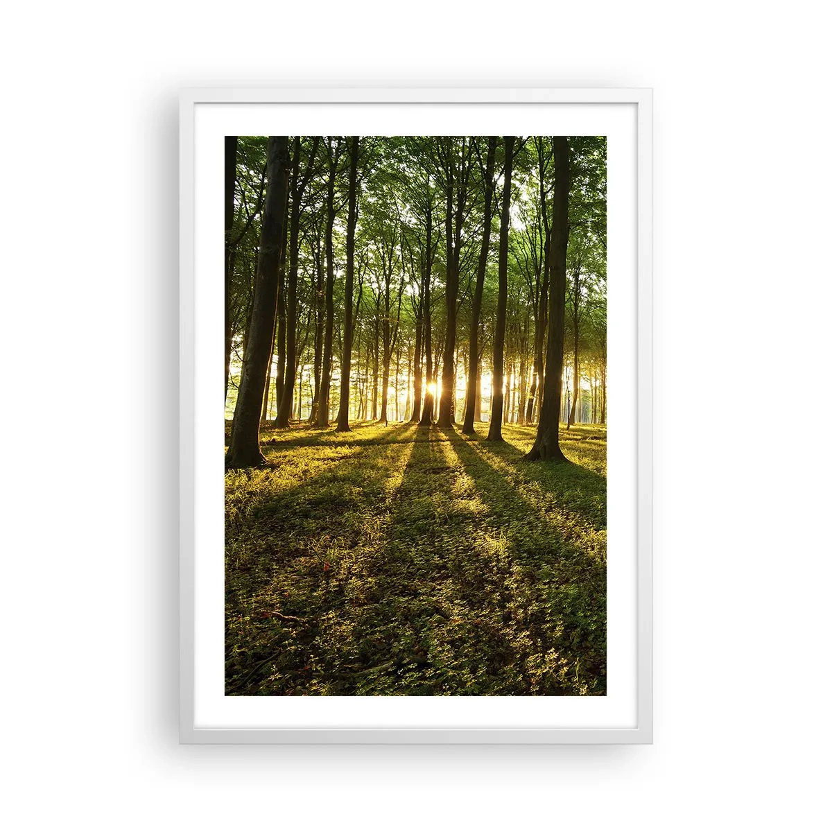 Poster in einem weißen Rahmen - Alle Frühlingsfotografie - 50x70 cm