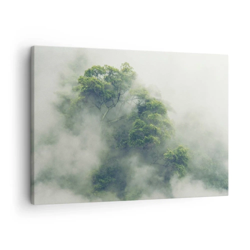Bild auf Leinwand - Leinwandbild - Grüne Bäume im dichten Nebel vor einem natürlichen Hintergrund - 70x50cm - In Nebel gehüllt - Moderne Wanddekoration für Wohnzimmer und Schlafzimmer ARTTOR