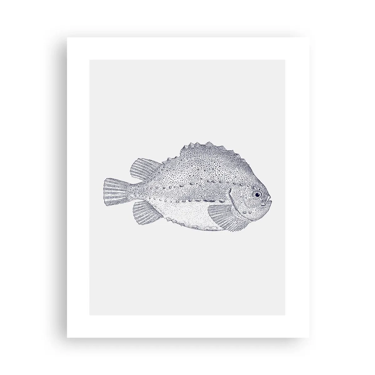 Poster - Für das Album des Naturforschers - 40x50 cm