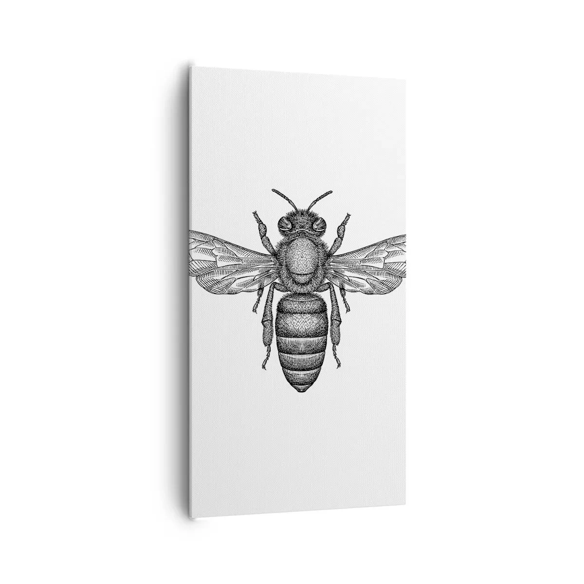 Bild auf Leinwand - Leinwandbild - Insektenporträt - 65x120 cm