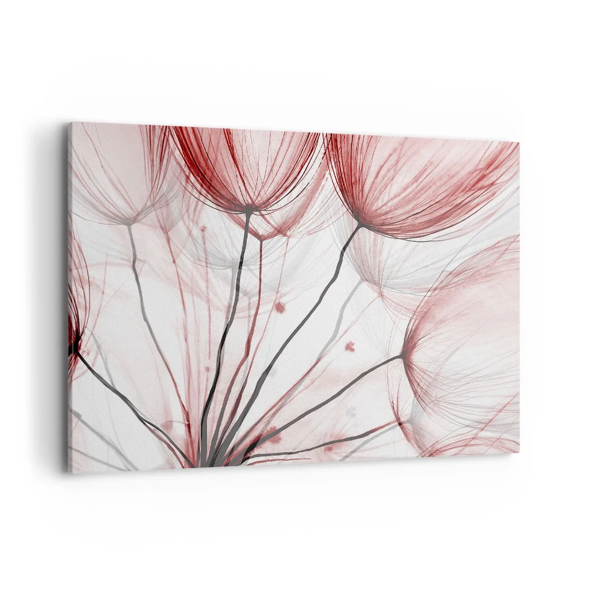 Bild auf Leinwand - Leinwandbild - Zarte Blüten in Rottönen auf hellem Untergrund - 120x80cm - Vor der Abfahrt - Moderne Wanddekoration für Wohnzimmer und Schlafzimmer ARTTOR