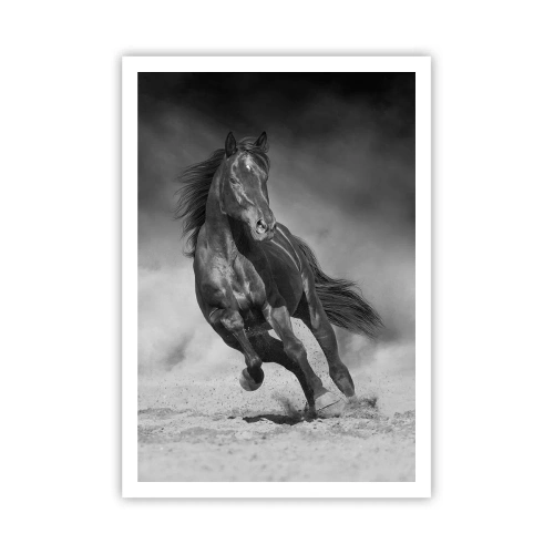 Poster - Würdig des Emirs selbst - 70x100 cm