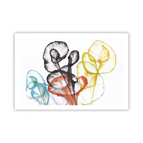 Poster - Blumen mit Seele - 91x61 cm