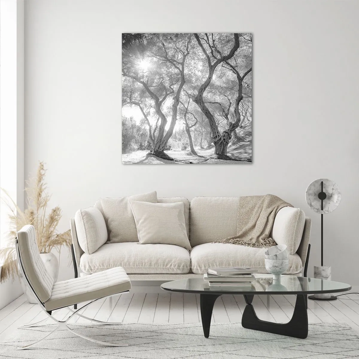 Glasbild - Bild auf glas - Im Olivenhain - 40x40 cm