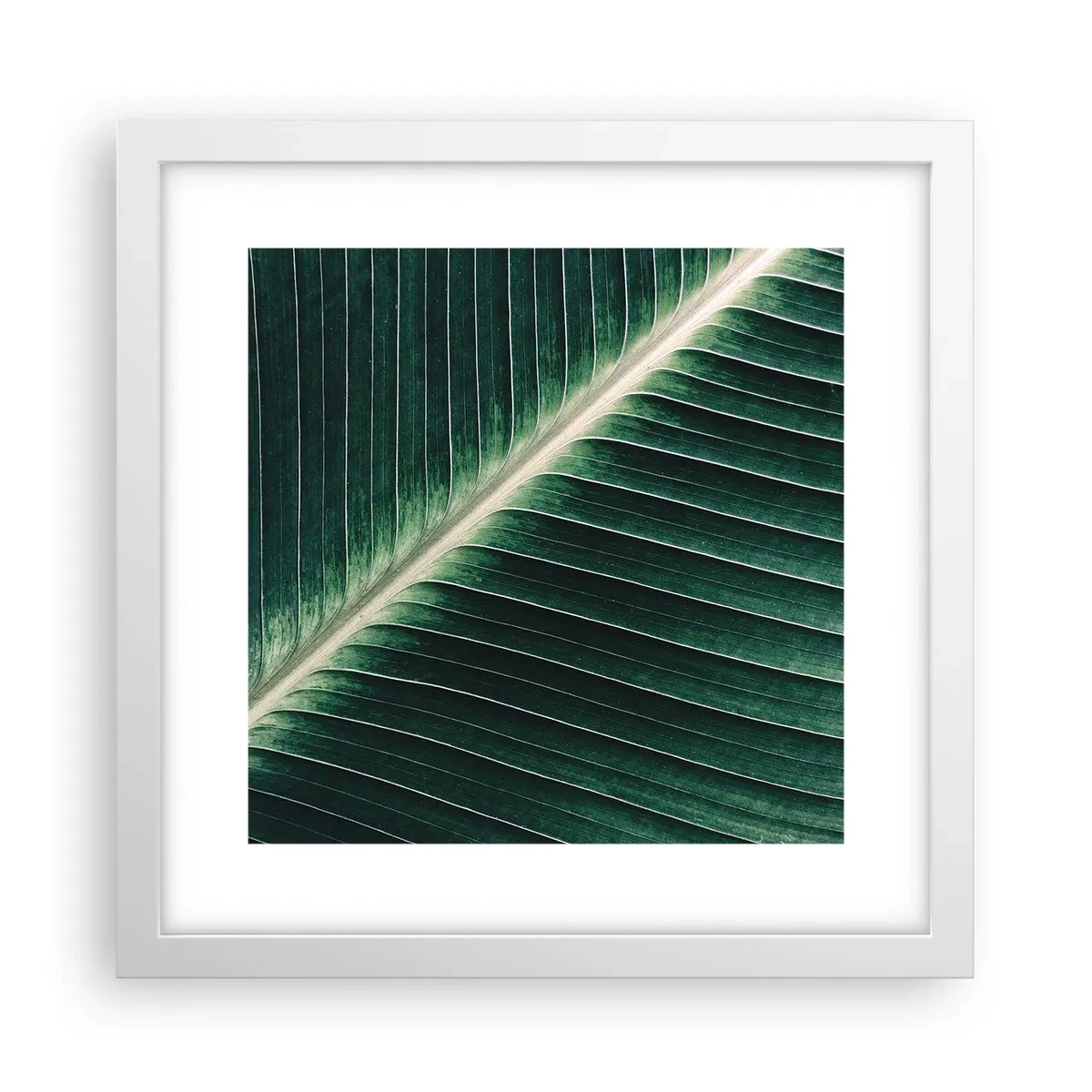 Poster in einem weißen Rahmen - Rhythmus der Natur - 30x30 cm