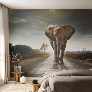 Fototapete Premium Sand - Ein Elefant, der im Licht der untergehenden Sonne eine Straße entlang läuft - 100x70cm - Und schon gar nicht in einem Porzellanlager - Moderne Wanddekoration für Wohnzimmer und Schlafzimmer ARTTOR