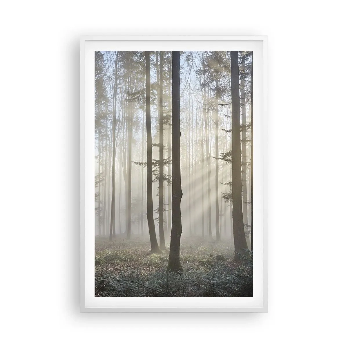 Poster in einem weißen Rahmen - Der Nebel ist auch aufgewacht - 61x91 cm