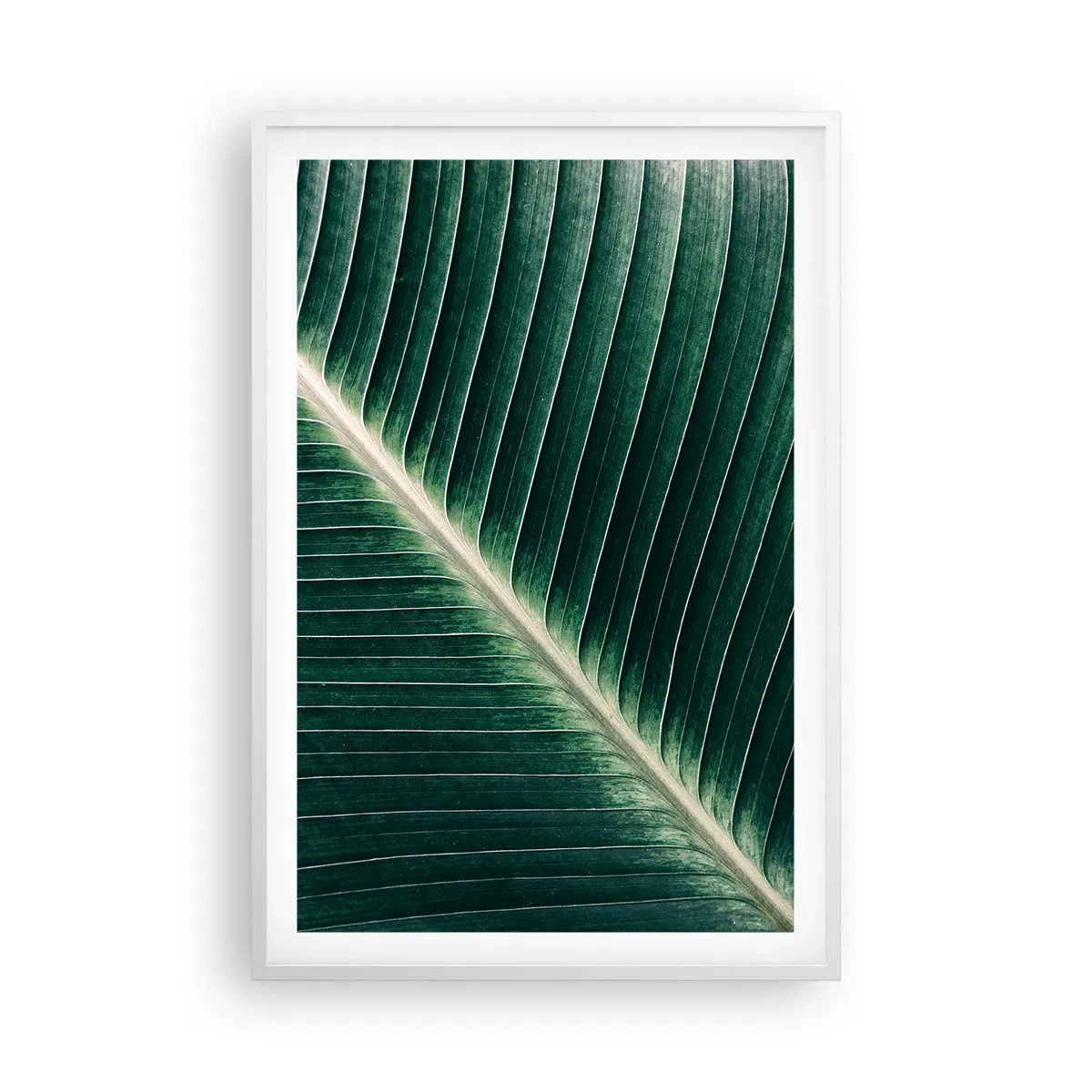 Poster in einem weißen Rahmen - Rhythmus der Natur - 61x91 cm