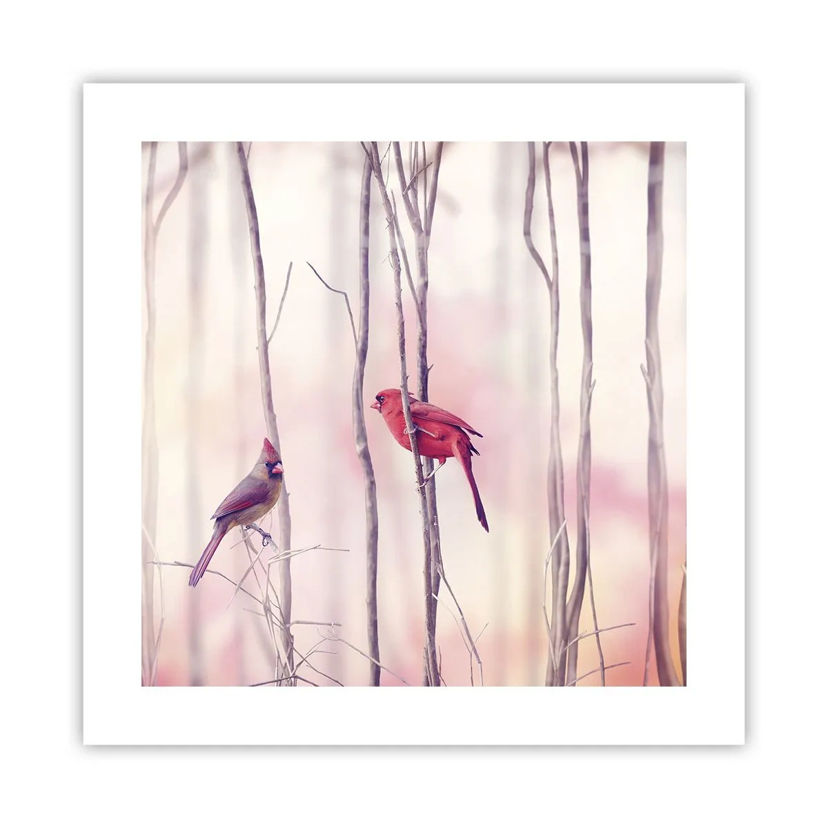 Poster - Geschichte vom rosa Wald - 40x40 cm