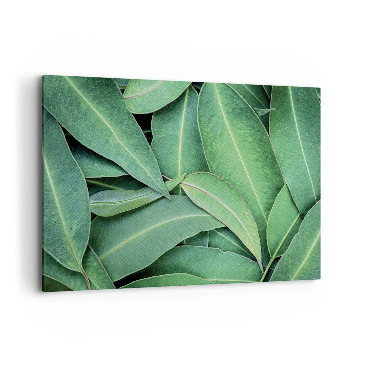 Bild auf Leinwand - Leinwandbild - Nahaufnahme von grünen Blättern, die ein natürliches Muster erzeugen - 120x80cm - Saftig und frisch - Moderne Wanddekoration für Wohnzimmer und Schlafzimmer ARTTOR