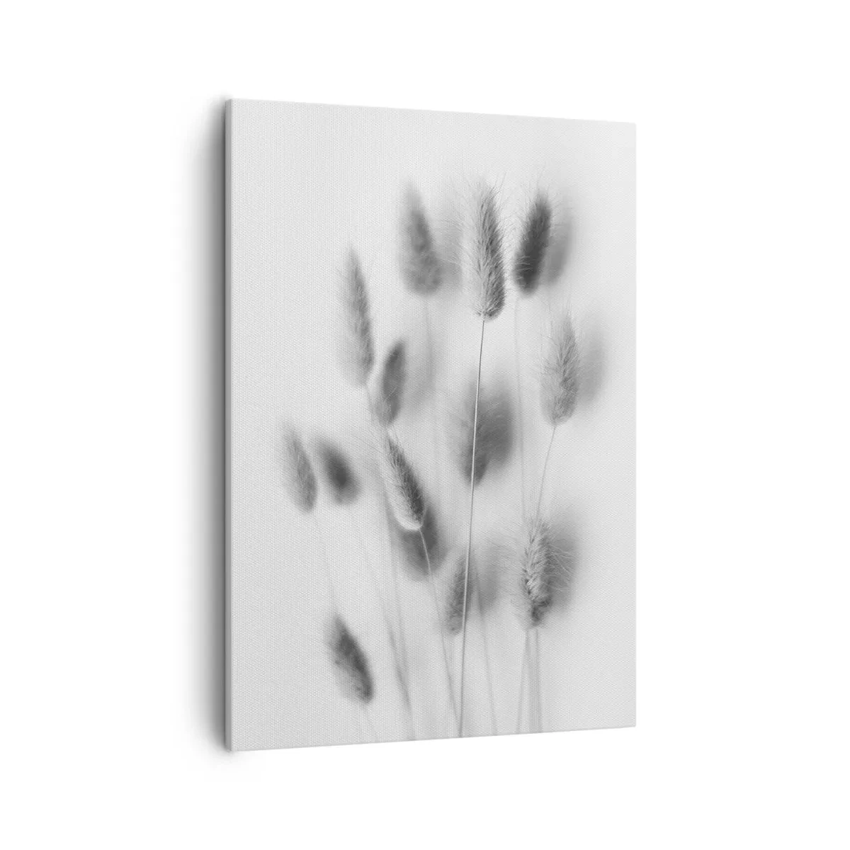 Bild auf Leinwand - Leinwandbild - Zarte Gräser in Grautönen auf weißem Hintergrund - 50x70cm - Eure flauschige Grashoheit - Moderne Wanddekoration für Wohnzimmer und Schlafzimmer ARTTOR