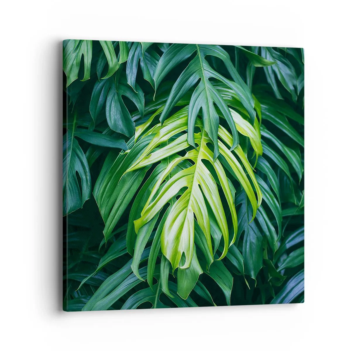 Bild auf Leinwand - Leinwandbild - Tauchen Sie ein in die Frische - 40x40 cm