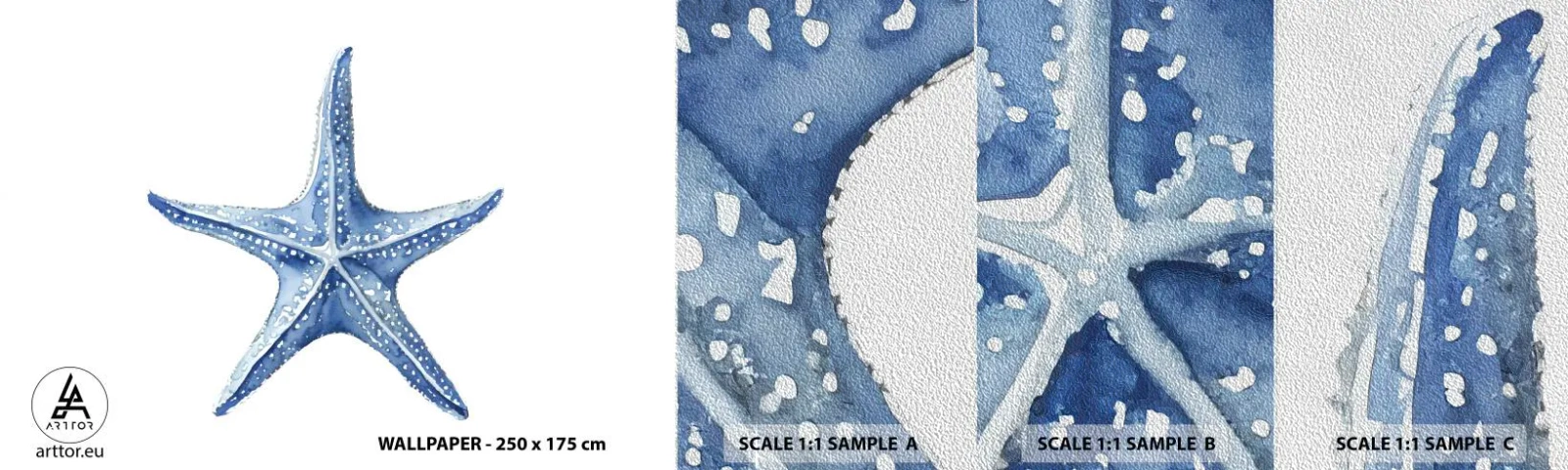 Fototapeten Muster Premium Sand - Stern des Meeres - Seestern, Strand, Korallenriff - 100x30 cm