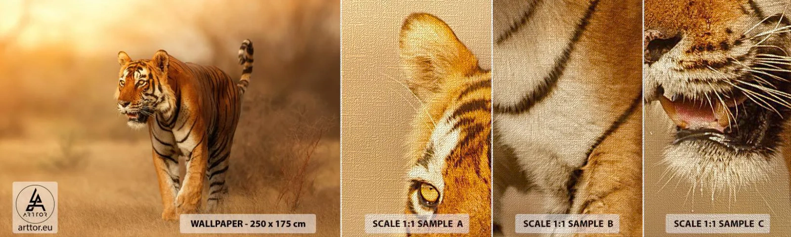 Fototapeten Muster Premium Canvas - Vor dem Angriff - Tiere, Tiger, Afrika - 100x30 cm