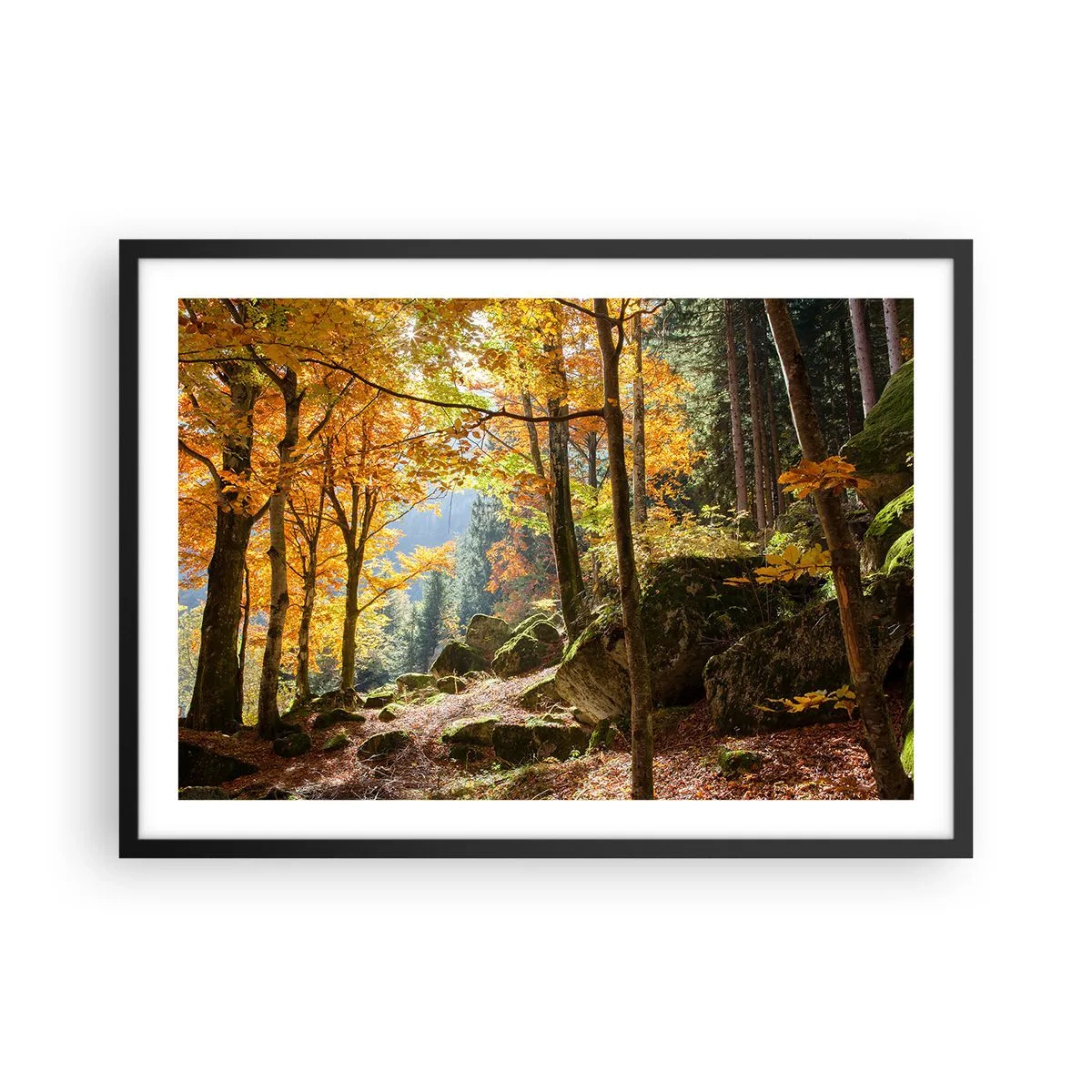 Poster in einem schwarzem Rahmen - Ein Herbstwald voller goldener Blätter und Sonnenlicht - 70x50cm - Zeit zum Entspannen - Moderne Wanddekoration für Wohnzimmer und Schlafzimmer ARTTOR