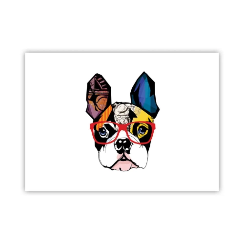 Poster - Intellektuelle - 70x50 cm